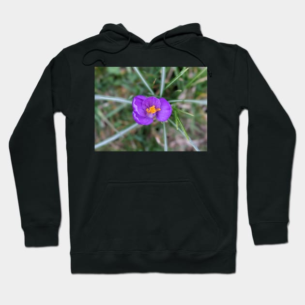 Purple and Orange Flower 1 Hoodie by AustaArt